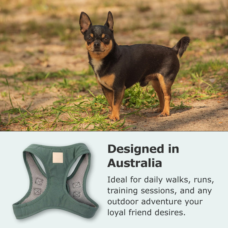 FuzzYard Life Step in Dog Harness | Size S | Stylish Premium Cotton Design in Myrtle Green Perfect for Everyday Walks Small - BeesActive Australia
