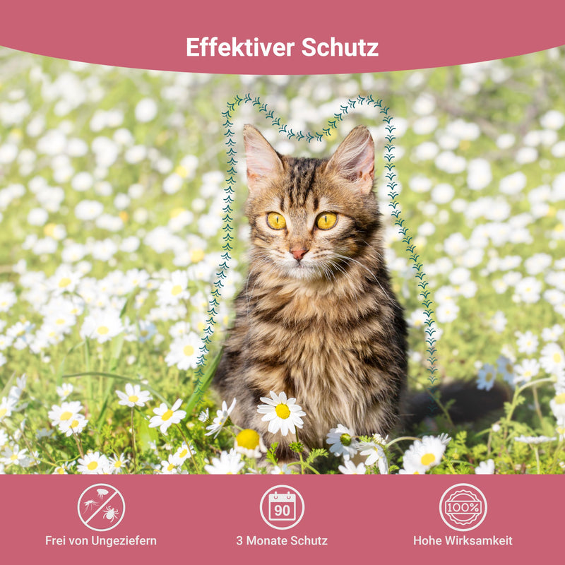Animal Vita® Spot On tick protection for cats [reliable tick protection] tick repellent for cats - tick protection for cats - Spot On for cats - BeesActive Australia