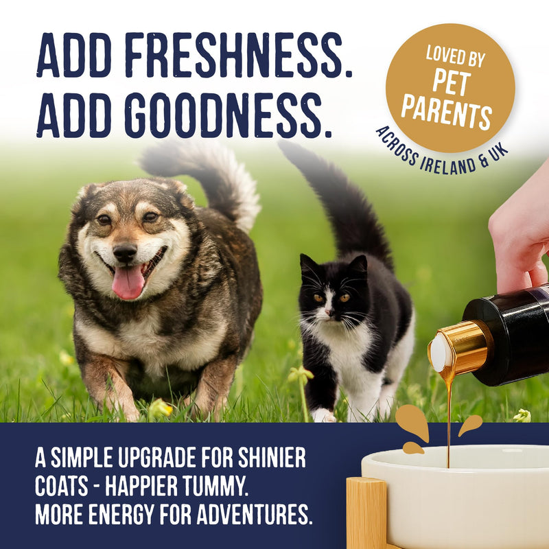 Harley & Marley Finest Atlantic Salmon Oil for Dogs & Cats - Pure Irish Fish Oil Supplement with Omega 3, 6 & 9 -Natural Ingredients for Healthy Skin, Coat, Joints & Heart Support - 250ml