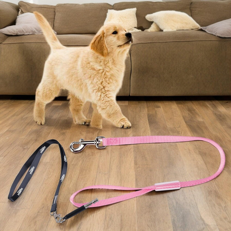 Grooming Loops, 18", 4 Count, Durable Nylon for Dogs, with Moofin SS Pet Training Whistle, Dog Nylon Leash, Dog Grooming Essentials, Comfortable & Secure, [Pack of 2 ] - BeesActive Australia