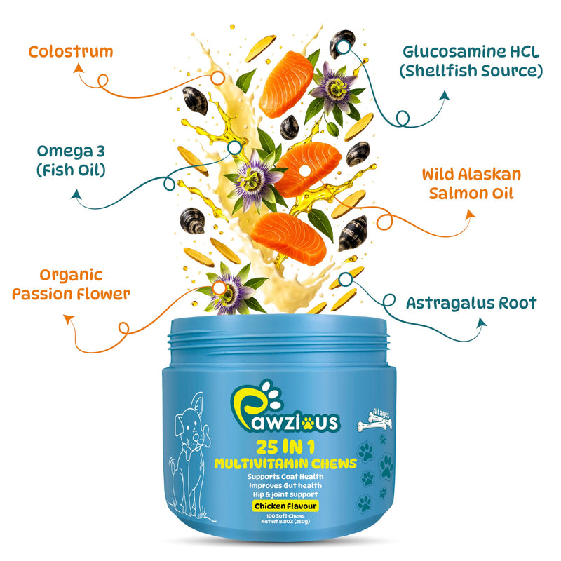25 In 1 Dog Multivitamin with Glucosamine Chondroitin, Minerals with Omega 3 Fish Oil and Zinc Dog Vitamins and Supplements for Heart, Digestion, Skin & Coat Care, Chicken Flavored 100 Chews