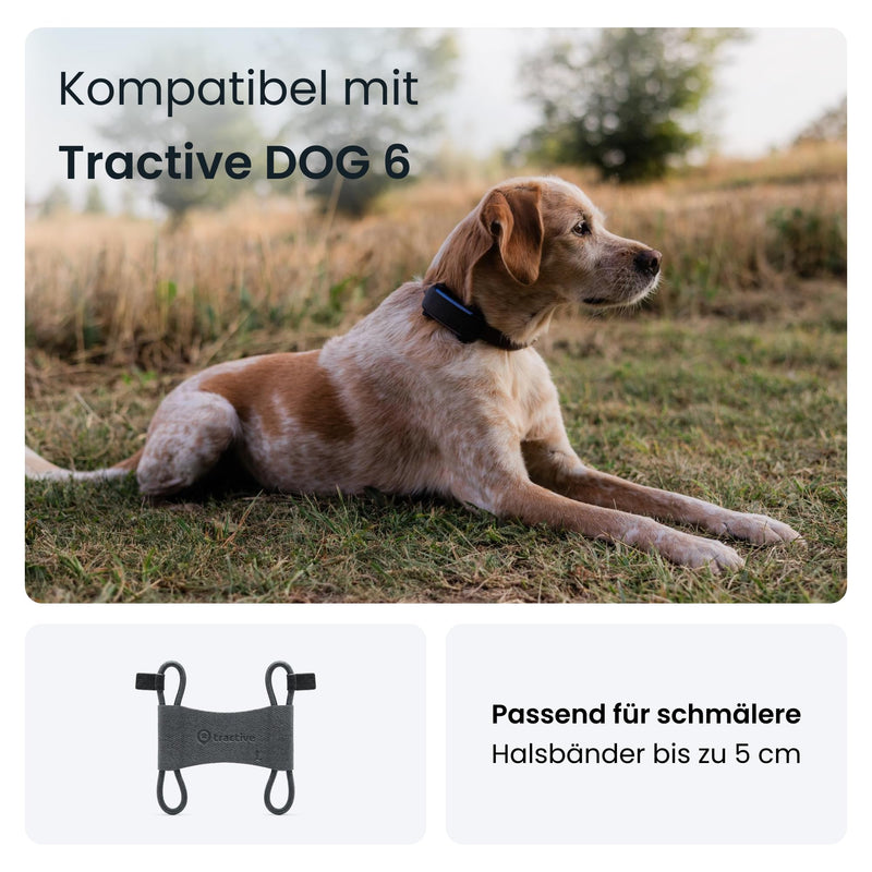 Tractive 2 PCS. Textile clips for Tractive Dog 6 GPS Tracker (Black) - L - BeesActive Australia