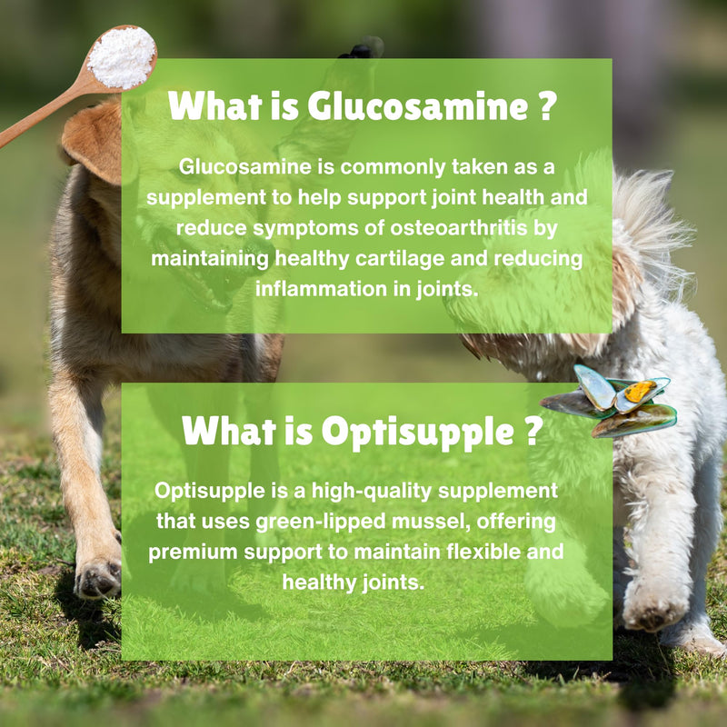 Joint Care Supplement for Dogs with Green Lipped Mussel and Glucosamine | Rapid Relief for Stiff Joints, Fortified with Vitamin C and E, Maximum Strength Tablets - 130 Crushable Tablets 130 count (Pack of 1)