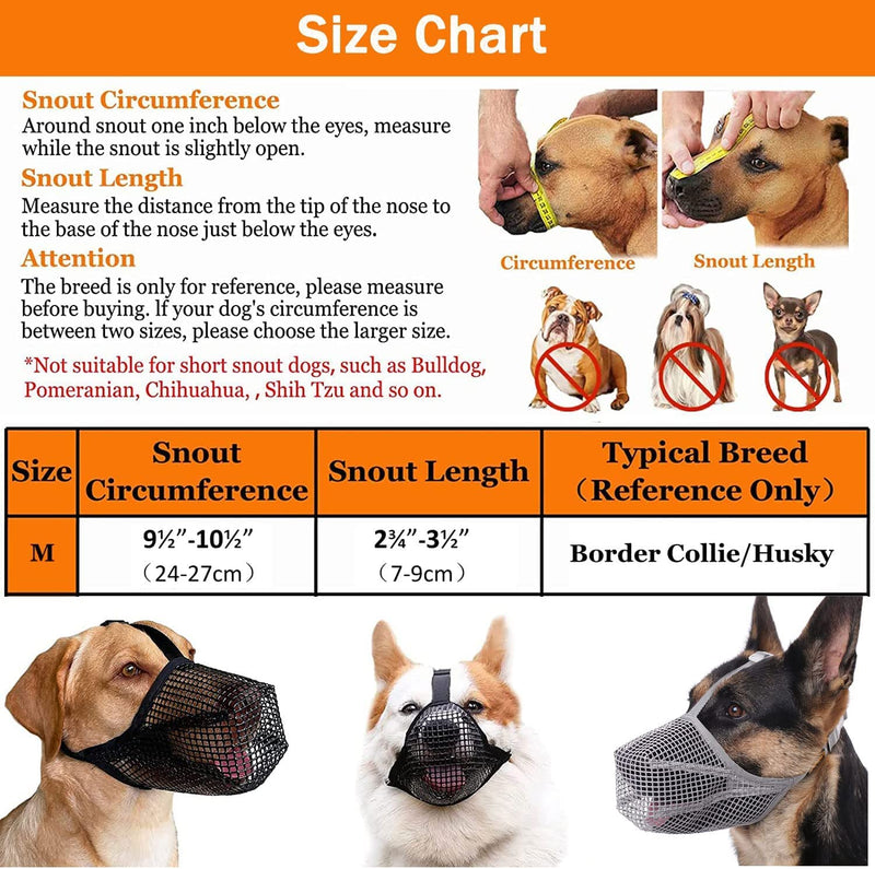 Muzzle mesh, muzzle for dogs, rounded mesh, muzzle for medium dogs, mesh muzzle for dogs, muzzle for dogs, adjustable for small, medium and large, prevents biting, chewing, M, black - BeesActive Australia