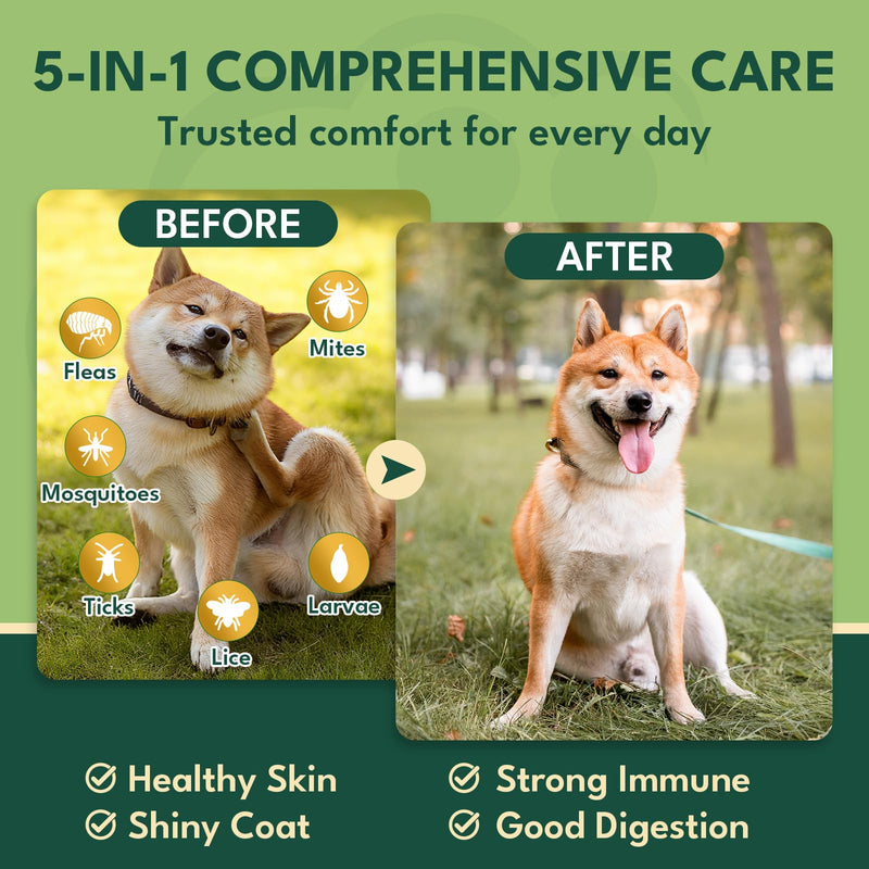 YOTANGO Dog Flea and Tick Support Crunchy & Creamy Chewables, 500 Chews Natural Flea and Tick Prevention for Dogs Chewable, Skin and Coat Support, Flea Treatment Chews for Dogs & Puppies (Beef Flavor)