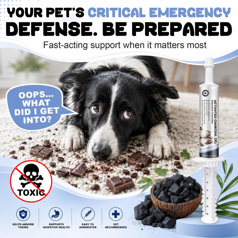 Activated Charcoal Gel for Dogs, Dogs Activated Charcoal 30ml, High-Absorption,Reduce Digestive Odors,Suitable for All Dogs