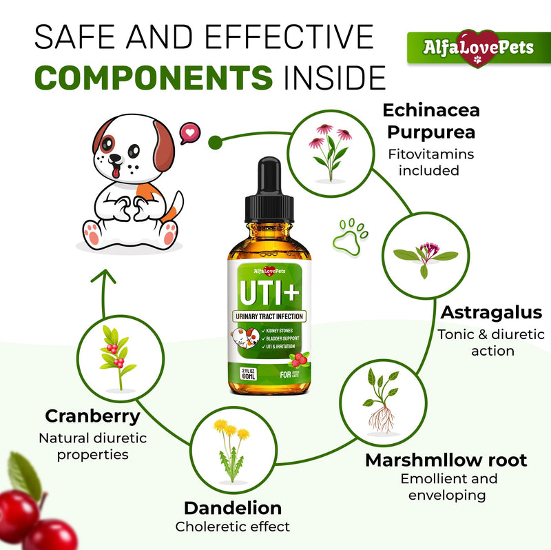 Cat UTI Treatment to Care for Kidneys and Bladder – Dog UTI Treatment for Pets of All Ages and Breeds – Urinary Tract Cat Safe Formula – Cranberry Supplement for Dogs & Other Pets – 2 Oz 2 Fl Oz