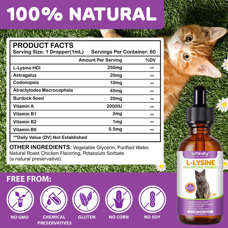 L-Lysine for Cats Liquid, Cat Lysine Drops, Natural lysine for cats Flu, Immune Support, Feline Respiratory, Sneezing, Runny Nose & Eye Health - Roast Chicken Flavor 60ml