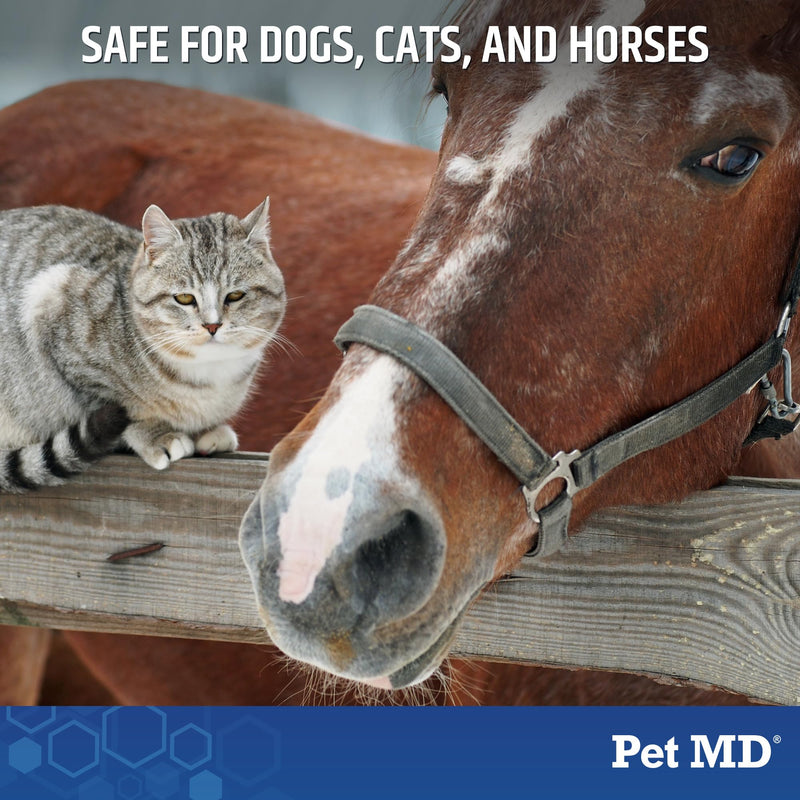 Pet MD TopicalShampoo for Dogs, Cats, & Horses- 12 oz - PawsPlanet Australia