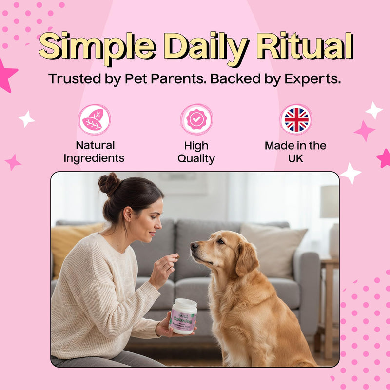 Drool Pet Products | Calming Dog Treats for Anxiety Relief | Natural Beef-Flavoured Dog Calming Supplement for Stress, Fireworks, Travel & Separation | Anxiety Relief for Dogs | 180g (60 Tablets)