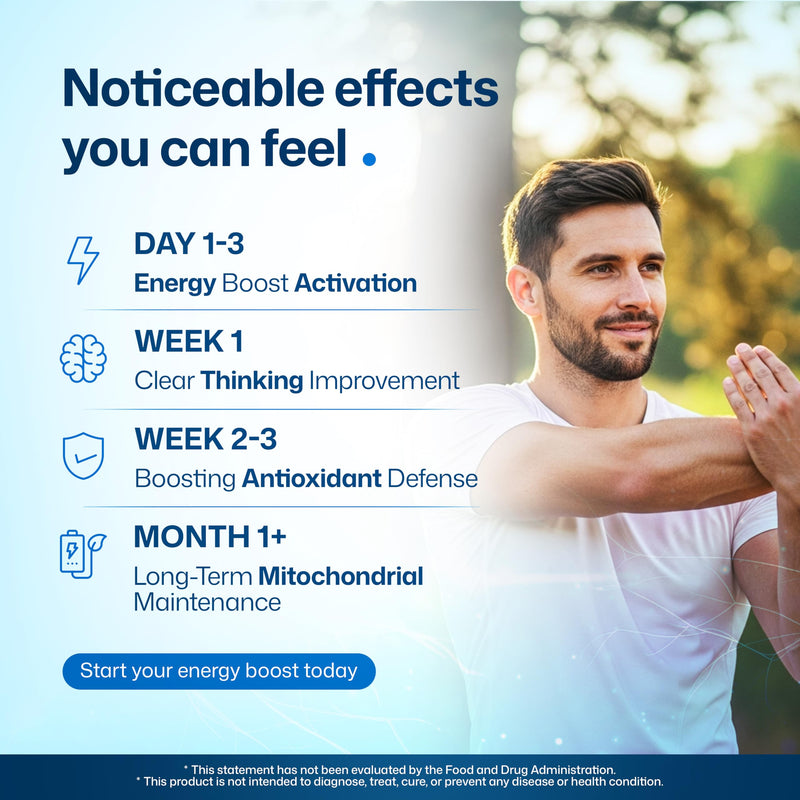Methylene Blue Capsules 15mg - USP Grade Pharmaceutical Supplement, 99% Pure with Vitamin C Ester - Non-GMO, Vegan Pills for Focus, Memory & Cognitive Energy - 60 Count