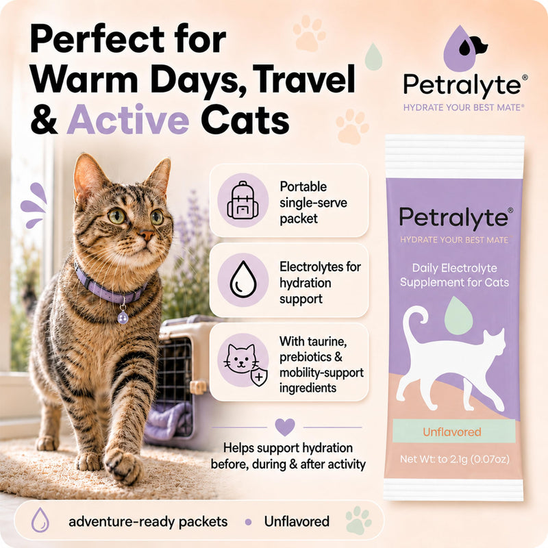 Petralyte Cat Hydration Electrolyte and Cat Joint Supplement | Hydration Support for Cats w/Glucosamine, Chondroitin, L-Glutamine, Taurine, Lysine & Prebiotics | Unflavored | 16 Packets 1-Pack (16 Packets)