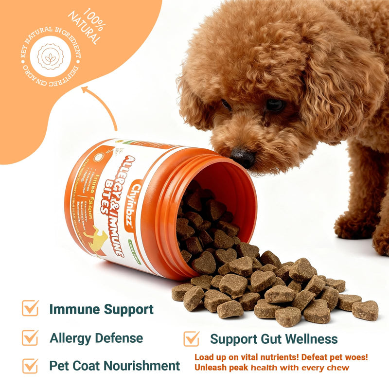 Dog Allergy Chews - Yeast Balance & Itching Relief, Immune and Skin Support for Seasonal Allergies, Gut Health Blend, Lamb Flavor, 120 Soft Chews Allergy Relief