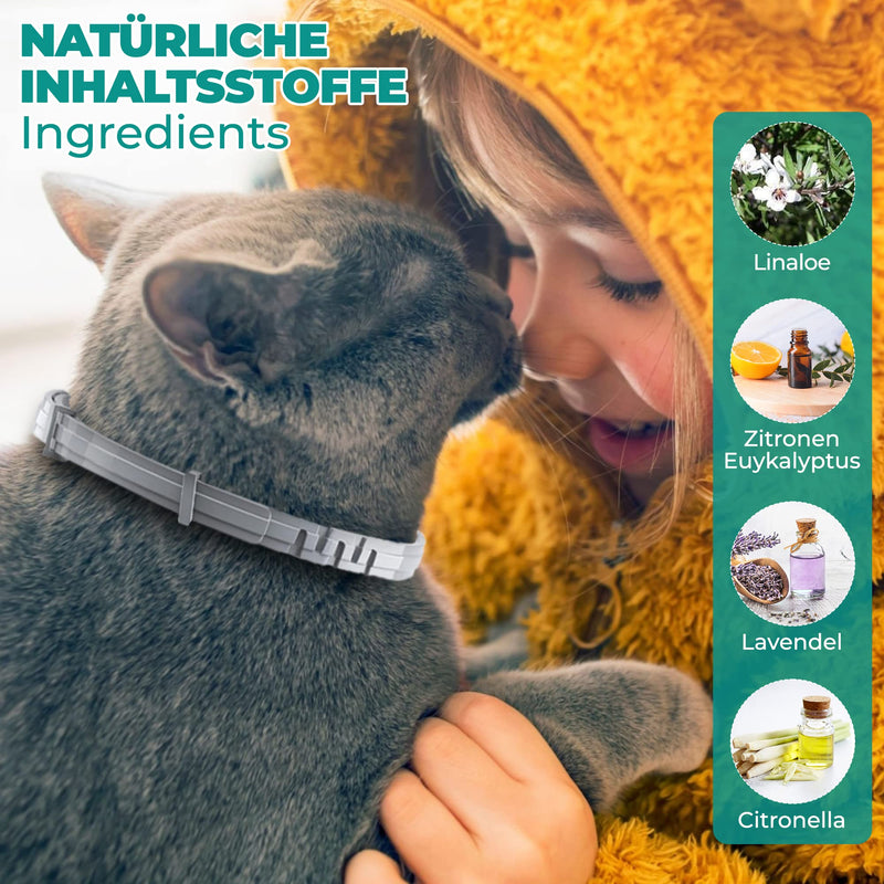 Tick collar for cats and small dogs | Luminous prevention collar against parasites with up to 8 months of protection | Fluorescent collar universally adjustable to any size - BeesActive Australia