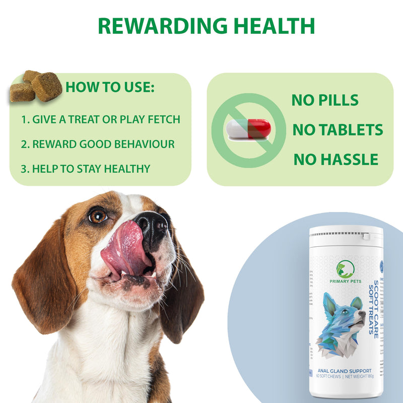 Primary Pets Premium Pet Supplies Scoot Relief Treats, Anal Gland Support for Dogs | High Fibre Supplement with Psyllium Husk, Pumpkin Seeds, Dandelion Root & Prebiotics | 60 Soft Chews 60 Chews