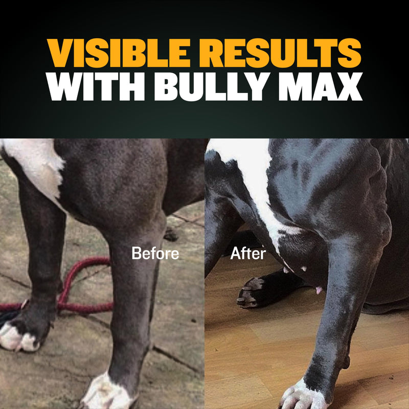 Bully Max Muscle Builder Soft Chews for Dogs and Puppies - Training Supplements for Puppy and Adult Dog - Dog Food Topper Treats for Muscle Gain - All Dog Breeds & Ages, 75 Delicious Soft Chews - PawsPlanet Australia