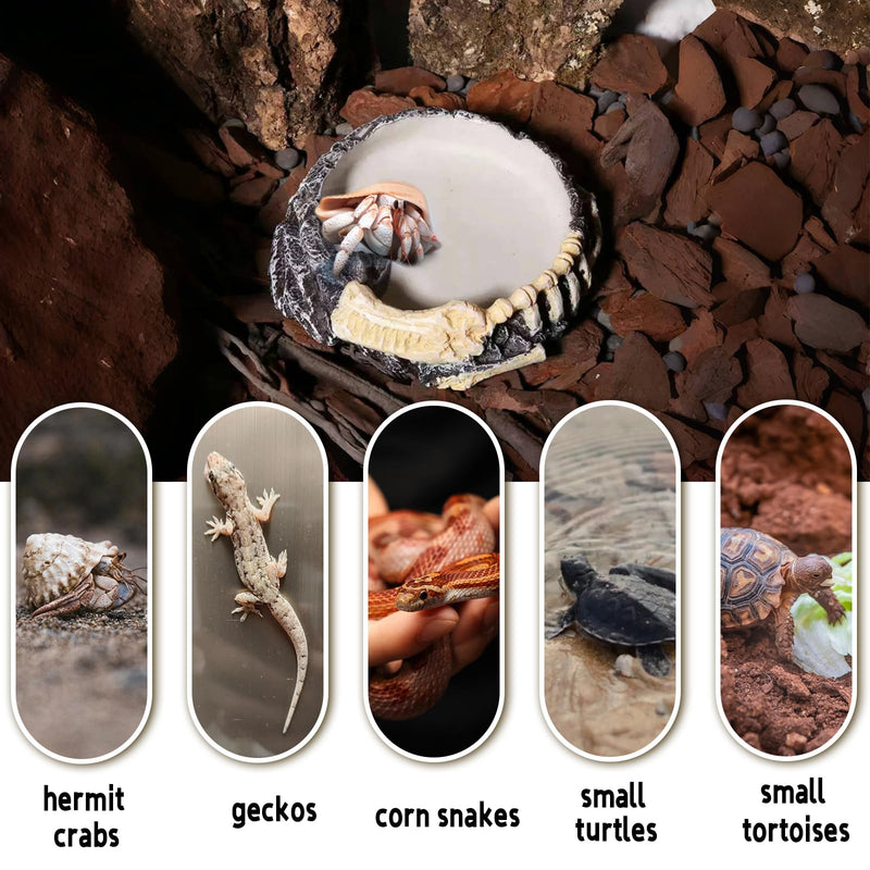 Tfwadmx Hermit Crab Water Bowl, Small Reptile Feeding Dish, Tortoise Water Dish, Hermit Crab Food Dish, Reptile Food Bowl for Geckos Corn Snakes Turtles Small Bowl-1Pcs - BeesActive Australia