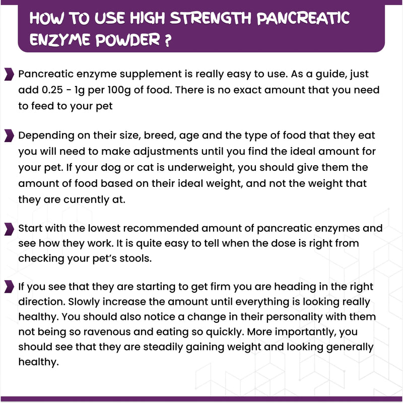 High Strength Pancreatic Enzyme Capsule for Dogs & Cats by Chemeyes - Digestive Enzyme Supplement with Amylase, Protease & Lipase - Pancreatin Supports Normal Digestion & Healthy Weight - 100 Capsules