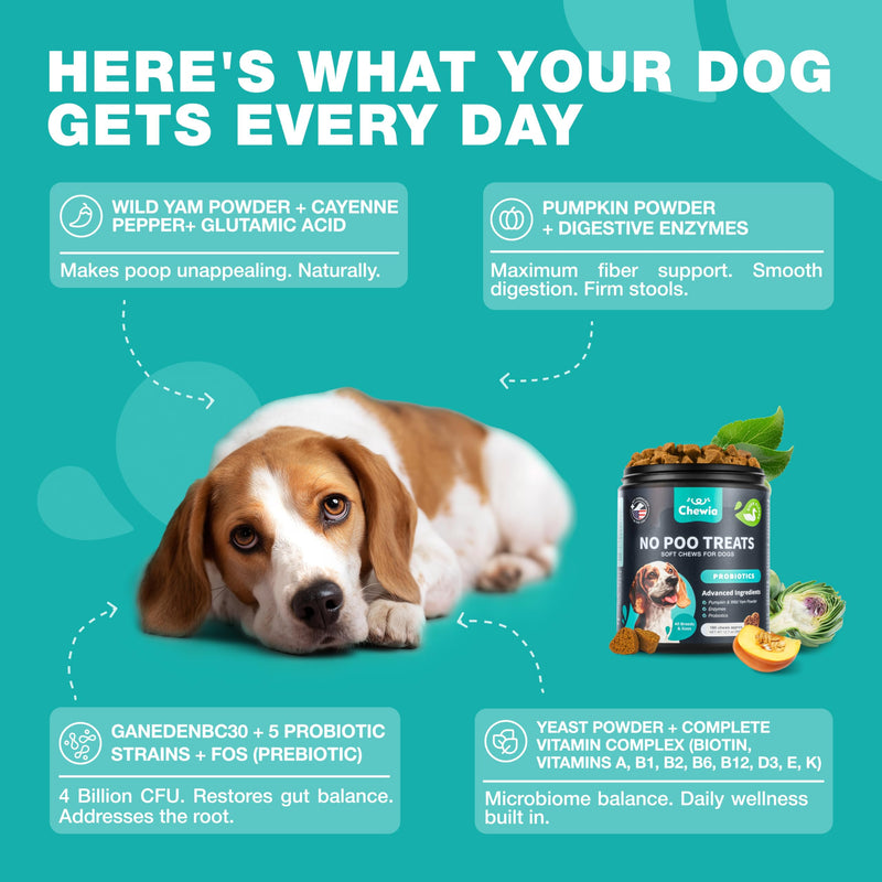 No Poo Chews for Dogs - Coprophagia Deterrent - Dog Probiotics for Digestive Health with Enzymes - Canine Stool Eating Deterrent - Digestive, Dental, Gut & Immune Health Treats - No Poop Eating 180 count No Poo Chews for Dogs