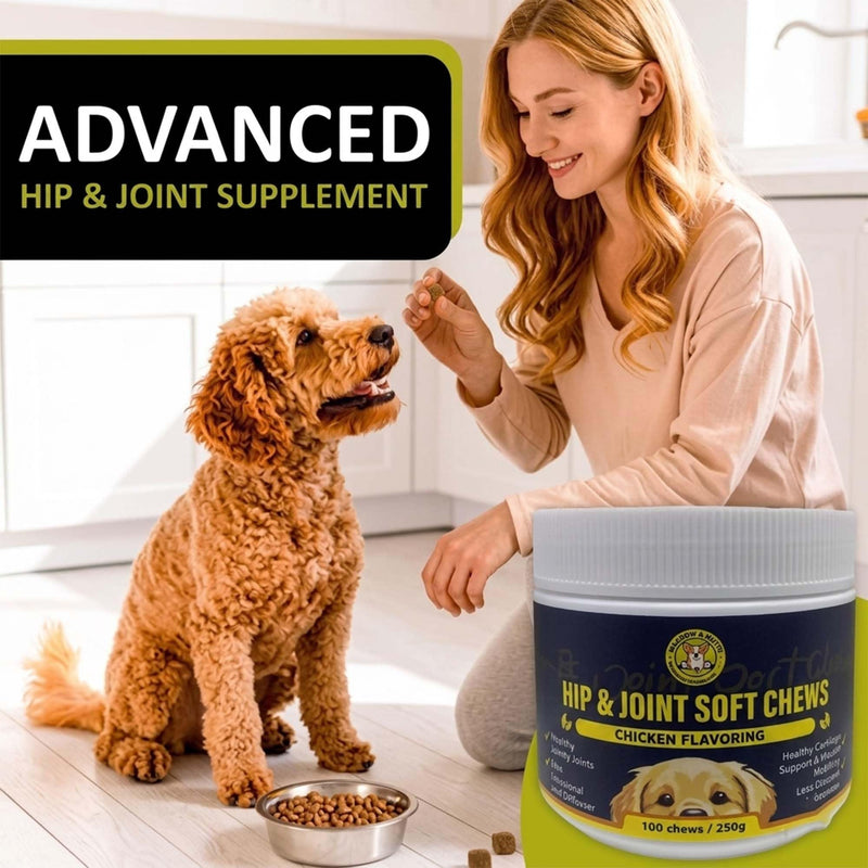 Meadows & Mutts Hip and Joint Supplement for Dogs - Glucosamine Chews for Dogs with Chondroitin, MSM & Green Lipped Mussel - Joint Support & Mobility, Chicken Flavor Soft Chews - 100 Ct