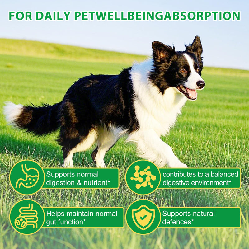 120 Chews Dog Probiotics for Gut Health – Prebiotics for Dogs with Digestive Enzymes, Pumpkin & 6 Probiotic Strains | Dog Probiotic Supplements for Digestive, Immune, Skin & Coat Support | Duck Flavor
