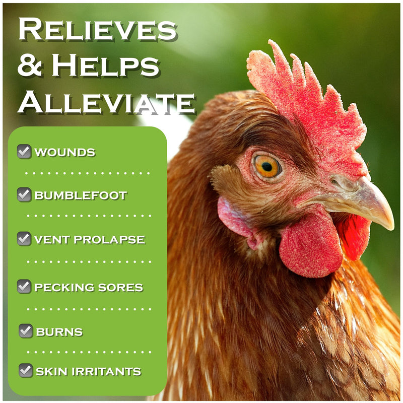 Chicken's Choice Wound Care for Chickens & Birds. Advanced Wound Care Spray for Poultry. Works for Bumblefoot, Vent Prolapse, Pecking Sore, Burns & Skin Irritations. Makes 32 oz Spray. 32 Fl Oz