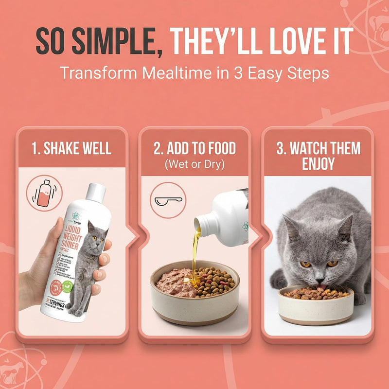 Liquid Cat Weight Gainer 16oz - High Calorie Cat Food Appetite Stimulant - Weight Gain for Cats Appetite Stimulant – High Calorie Supplement for Cats - Salmon Flavor - USA Made