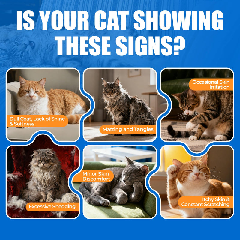 Just Try 300 Bites Skin and Coat Healthy Cat Vitamins for Indoor Cats Omega 3 for Cats Salmon Oil Supplements- Cat Itchy Skin Relief