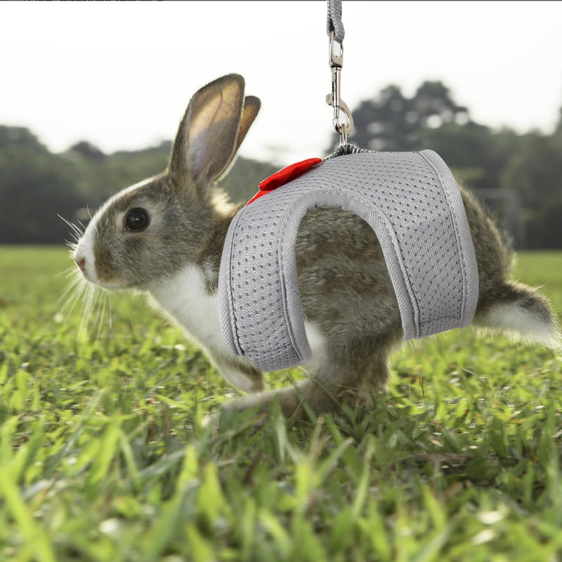 AIITLE Bunny Harness and Leash Set with Cute Bow, Soft Breathable Mesh Vest Harness for Rabbits Kitten Ferret Small Pig Puppy Walking Supplies Grey M Medium - BeesActive Australia