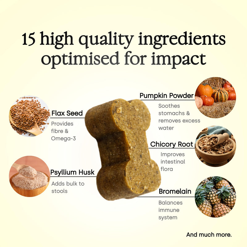 Scooch Anal Gland Supplement for Dogs — Fibre Chews Dogs Actually Eat | Banana, Apple & Coconut | Supports Firm Stools & Natural Gland Emptying | Plant-Based, Grain-Free | 60 Chews