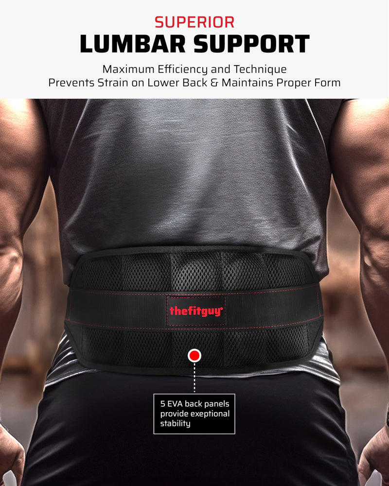 Ultimate Belt for Belt Squats, Rack Attachment and Squat Machine, Structured Back Support, Stays Low During Down Movement, Padded Hip & Thigh Area, Buckle Strap - No Sliding Down, Heavy Duty - BeesActive Australia
