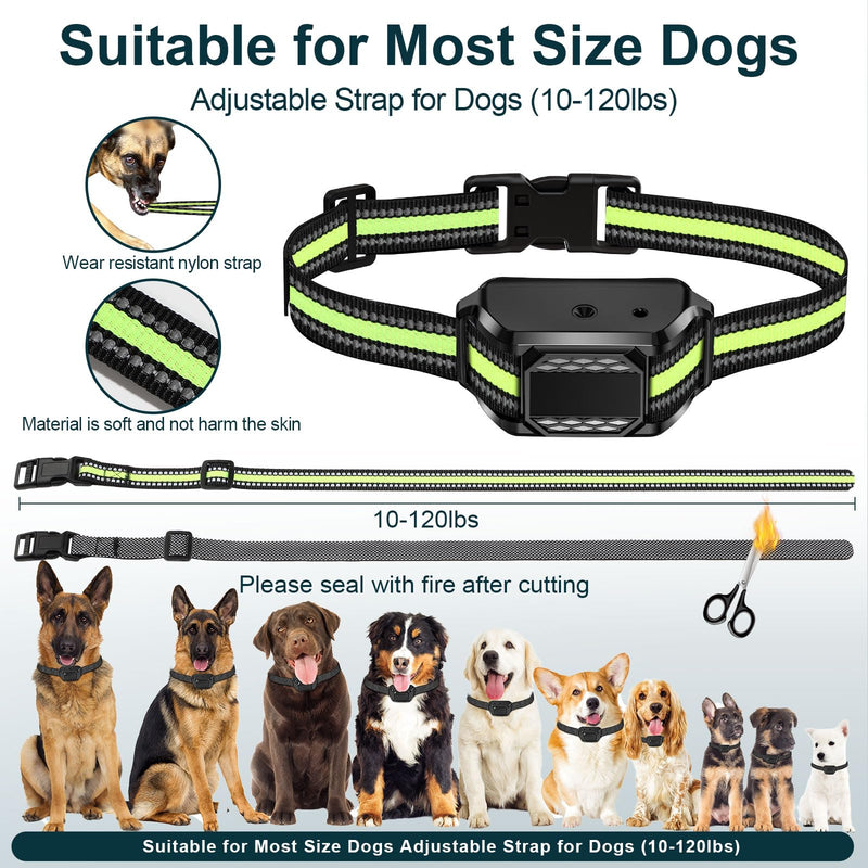 Citronella Dog Bark Collar for Dogs, [No Spray Refill] Citronella Dog Collar, Level 3 Sensitivity Adjustable Spray Bark Collar, Safer Anti Bark Collar Suitability for L/M/S Dog Citronella Collar Black-pp1 - BeesActive Australia
