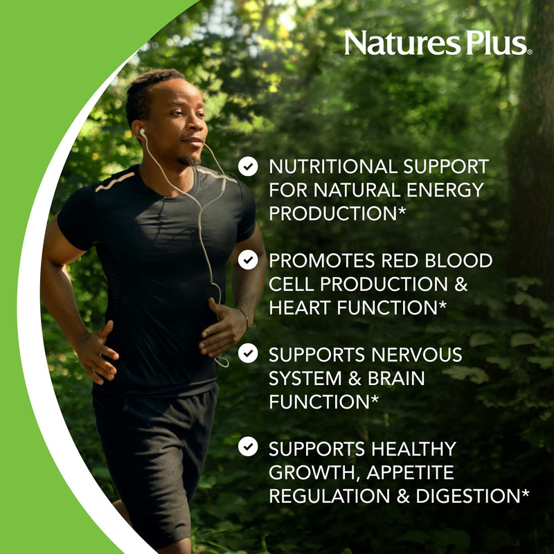 NaturesPlus Vitamin B1 300 mg - 90 Sustained Release Tablets - Mega-Dose Thiamin - Energy Support - Vegetarian, Gluten Free - 90 Servings