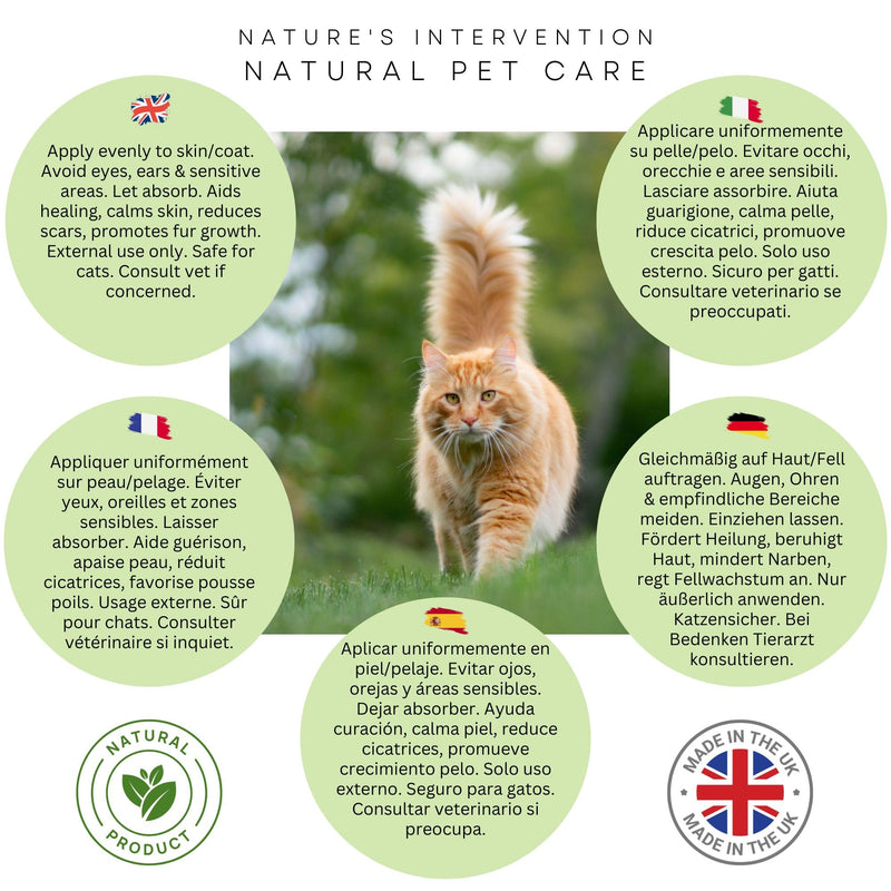 NATURE'S INTERVENTION 99% Natural Soothing Aloe Gel for Cats – 100g – Aloin-Free Aloe Vera & Sea Buckthorn – Safe for Feline Grooming – Hydrating & Non-Greasy