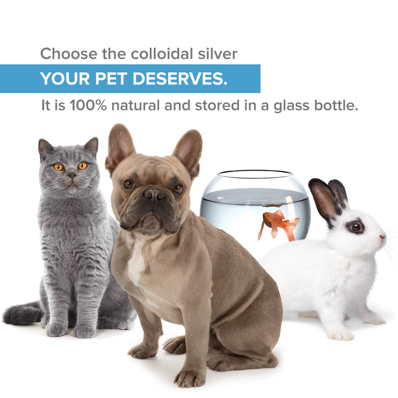 Colloidal Silver Pet Care Spray – Natural Cleansing Mist for Dogs & Cats | Supports Skin & Coat Hygiene | 100% Natural & Chemical-Free | Easy-to-Use Grooming Spray for Paws, Fur & Ears