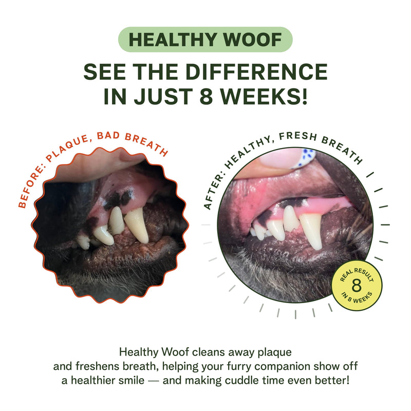 Dental Powder for Dogs Teeth Cleaning. Complete Oral Care Bone Broth. Made in the USA. 2.1 oz, 30 Scoops 2.1 oz (30 Servings)