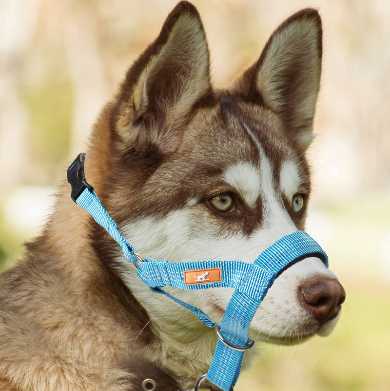 Dog Head Collar with Silk Thread, Soft and Adjustable Head Halter Collar for Small Medium Large Dogs in Striped Pattern(M,Blue) Blue - BeesActive Australia
