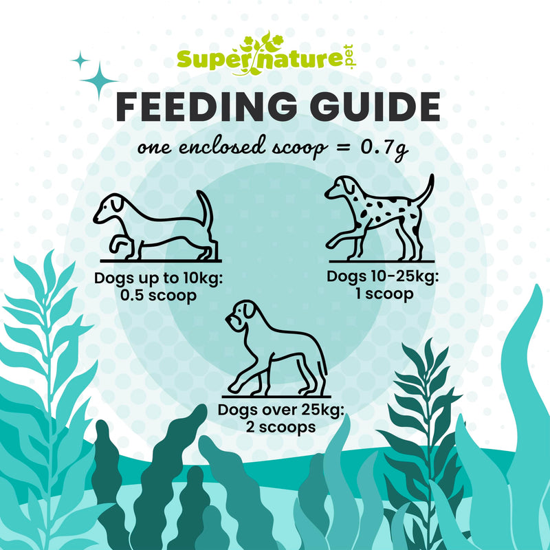Supernature Plaque Remover for Dogs 60g | 100% Natural Dental Care, Reduces Plaque & Tartar, Promotes Fresh Breath, Oral Health Support, No Toothbrush
