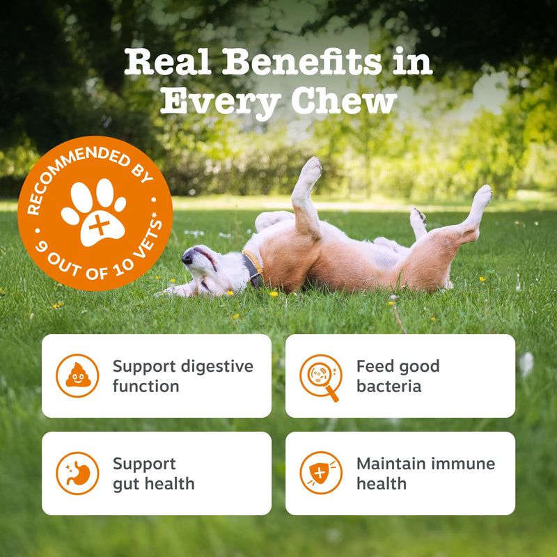 Zesty Paws Probiotic Chews for Dogs | Supports Gut Health, Stool Quality & Digestive Balance, Bad Breath| Contains Prebiotics, Probiotics & Postbiotics, Pumpkin & Linseed | Daily Use | 90 Chews 90 Count