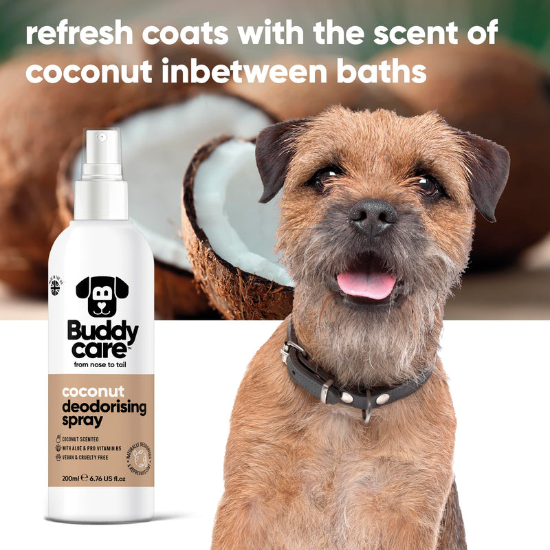 Buddycare Deodorizing Spray for Dogs - Coconut - Sweet and Nourishing Deodorizing Spray for Dogs - With Aloe Vera and Pro Vitamin B5 (200 ml, 1 Piece) 200 ml (Pack of 1) - BeesActive Australia