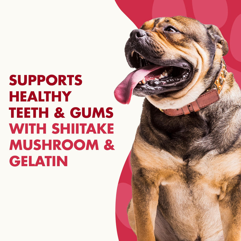 LIQUID-VET Magic-STIX™ Skin, Teeth & Fun – Large Dog – Chicken Flavor – 30 Count – Made in USA 1 Ounce (Pack of 30) Magic Stix - Itch & Allergy Stix