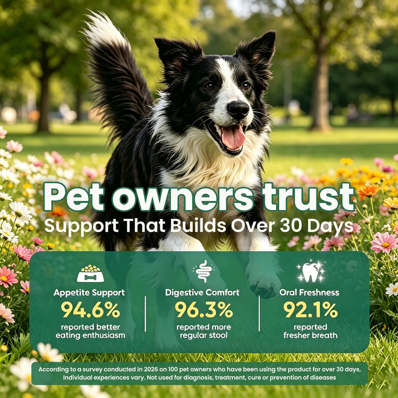 Dog Probiotics Chews, 200 Count Chicken Flavor, with Digestive Enzymes & Prebiotics, Supports Gut Health, Relieves Diarrhea, Constipation & Itching, Boosts Immunity & Oral Health for All Dogs