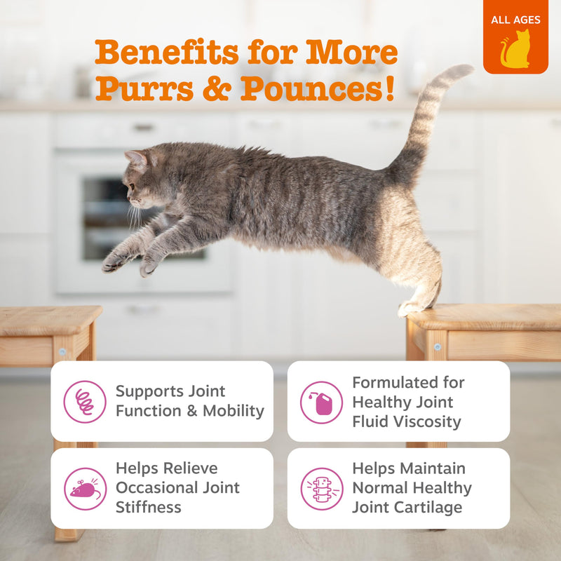 Zesty Paws Hip & Joint Bites for Cats - Glucosamine for Cats - with Chondroitin, Turmeric - Cat Joint Supplement for Hip & Joints - AlaskOmega Fish Oil with Omega-3 Fatty Acids - 60 Count Chicken - Cat 60 Count (Pack of 1)