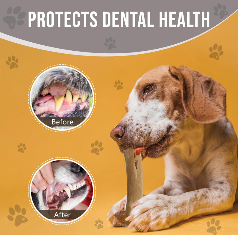 Coffee Wood Dog Chew Stick and Rope for Regular Chewers, 2 Pack Size Large - 100% Natural Dog Toys - Dog Teeth Cleaning & Relieve Stress, Organic Toys - BeesActive Australia