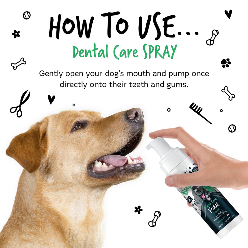 BUGALUGS Dog Breath Freshener Dental Care Foam. Clean Teeth, Healthy Gums & Fresh Breath - Natural Dog plaque remover & tartar remover for teeth - No Brushing Needed (Dog 210ml Foam) 210 ml (Pack of 1)