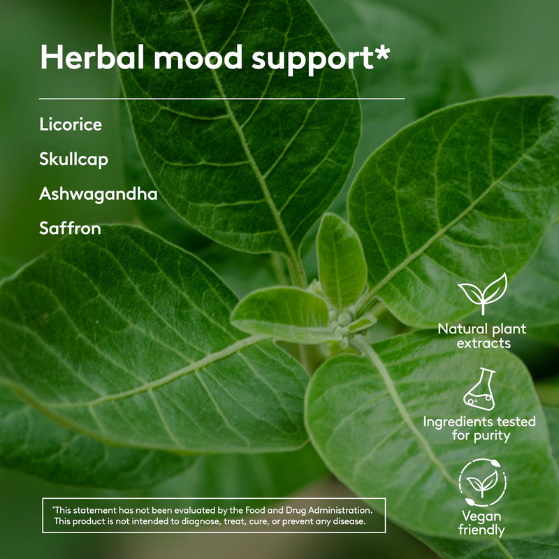 Stress & Mood Syrup Supplement, 6.7oz | Supports Relaxation and Nervousness, with Ashwagandha, Saffron, Skullcap, and Licorice Root Stress & Mood