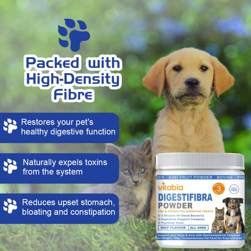 DigestiFibra Powder for Dogs & Cats – Natural Fibre Powder Supplement for Gut Health, Anal Glands & Scooting Relief – Prebiotic & Probiotic Digestive Treats – Fibre Supplement for Dogs & Cats 120g