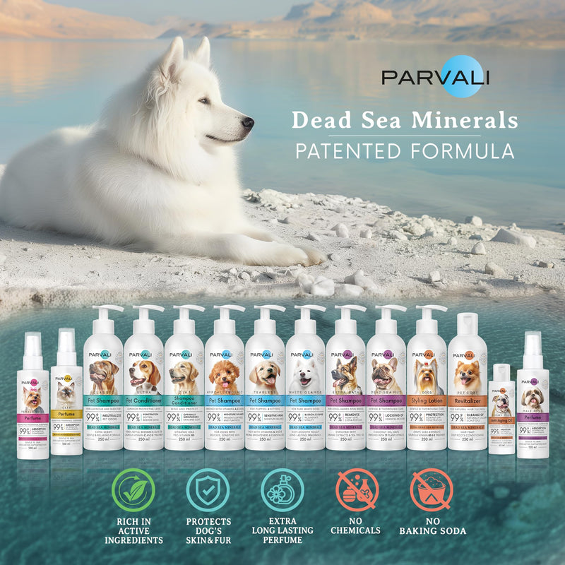 Natural Dead Sea White Glamor Pet Shampoo (250 ml, 8.45 fl oz). Gentle Bleaching for White Fur Breeds. Silky-Touch, Minerals Rich, Extra-Scented Formula for Gentle and Easy Application. Enjoy! White Fur Shampoo - BeesActive Australia