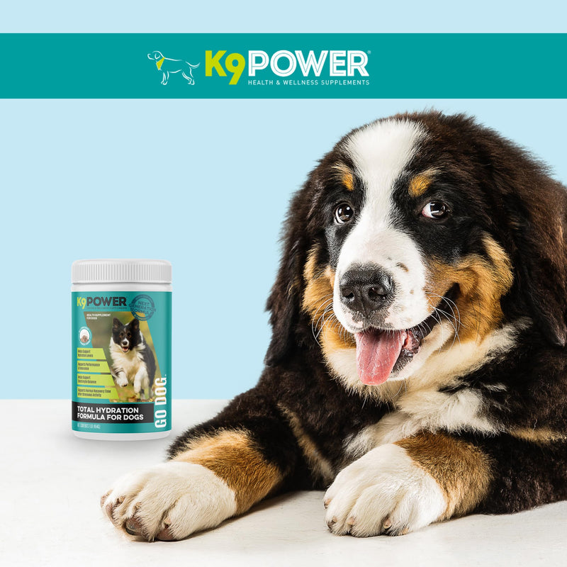 K9 Power Go Dog Hydration & Performance Drink Mix 1 lb - Active Dog Supplement for Muscle Function, Endurance, Recovery, with Electrolytes Support - PawsPlanet Australia