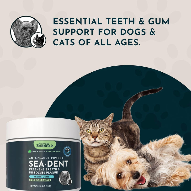 Animal Essentials SeaDent for Dogs - Kelp and Enzymes Plaque, Tartar Control Formula, Alpha Beta Amylase, Cellulase, Marshmallow Root, Slippery Elm Inner Bark, All Natural - 2.5 Oz (Pack of 1) - BeesActive Australia